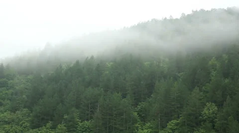 Foggy mountain timelapse Stock Footage 25472660