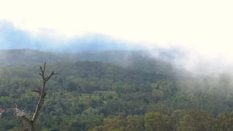 Foggy mountain top view with copy space 動画素材 153071045