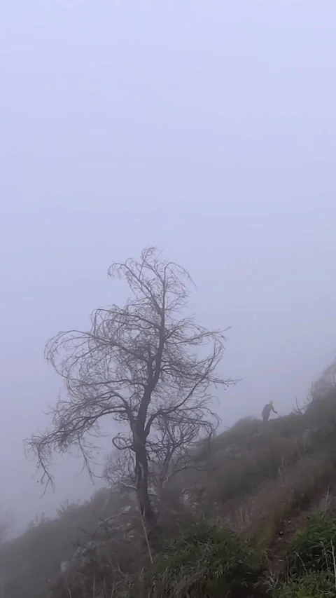 Foggy Mountain Trail With Distant Hiker POV Vertical 2K Stock Footage 335244294