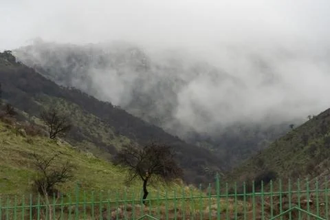 Foggy Mountain Valley Landscape with Dramatic Mist and Copy Space Stock Photos