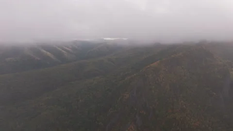 Foggy Mountain View With Trees 動画素材 266916573