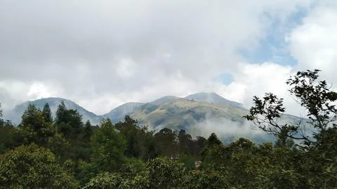 Foggy Mountains Stock Photos
