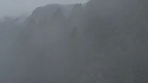 Foggy Mountanious Forest 库存影片 248735138