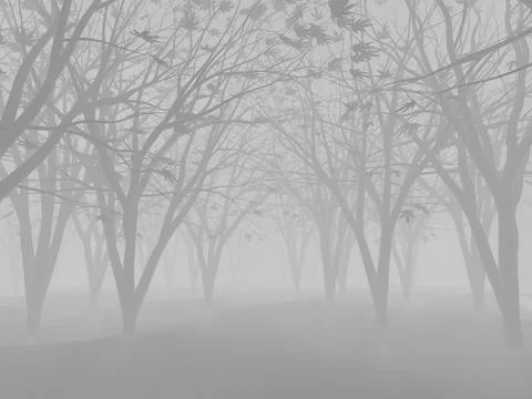 Foggy Mystical Forest Illustrazione stock