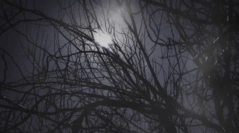 Foggy night Stock Footage 59744655