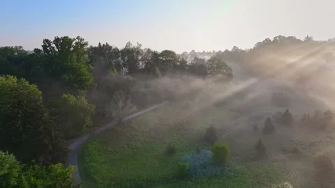 A Foggy Park Pathway in 4K Stock Footage 247921854
