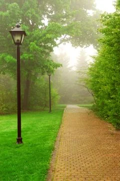 Foggy park Stock Photos