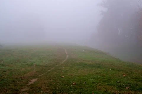 Foggy path thru grass Stock Photos
