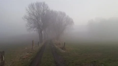 Foggy pathway in winter Stock Photos