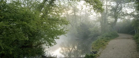 Foggy Pond in the Middle of a Tree Clearing Video stock 129303949