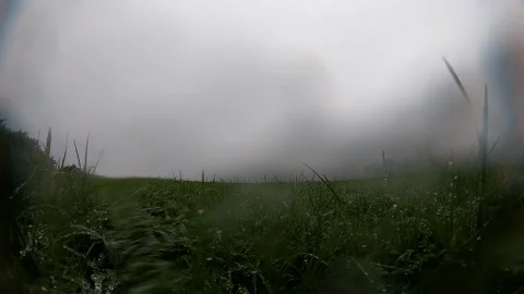 Foggy rain timelapse go pro Stock Footage 154674089