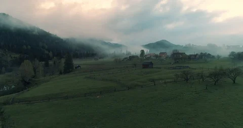 Foggy rainforest in mountains Stock Footage 128698785