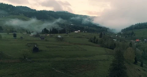 Foggy rainforest in mountains Stock Footage 128698825