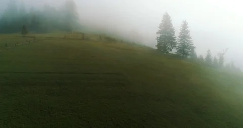 Foggy rainforest in mountains 動画素材 128699738