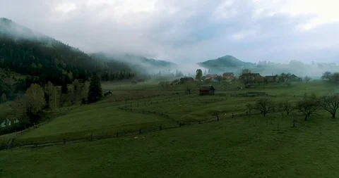 Foggy rainforest in mountains Stock Footage 128699862