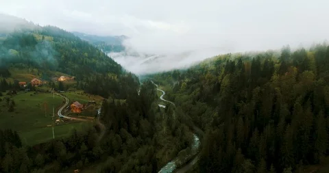 Foggy rainforest in mountains Stock Footage 128699870