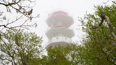 Foggy red and white lighthouse tower surrounded by green trees in misty for.. Stock Footage 335288408
