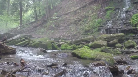 Foggy river close up 스톡 동영상 207532916