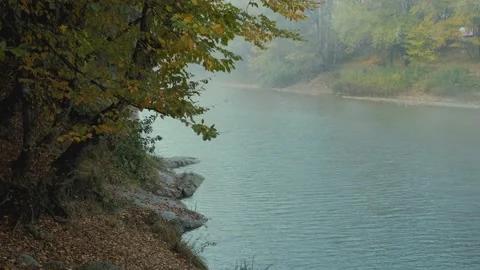 Foggy river Stock Footage 131210254