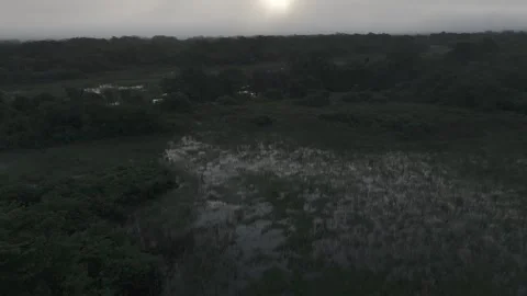 Foggy river 스톡 동영상 301661700