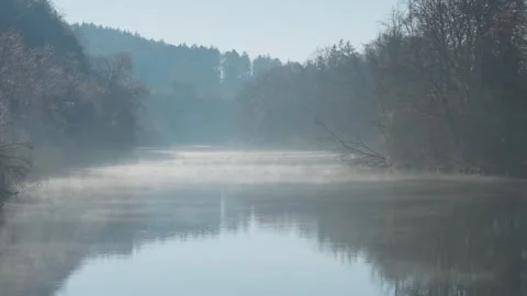 Foggy River Meanders Through Bare Trees in Gentle Light of a Winter Morning Stock Footage 307908433