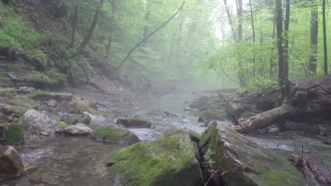 Foggy river with mossy rocks 스톡 동영상 207532926