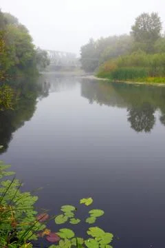 Foggy river Stock Photos