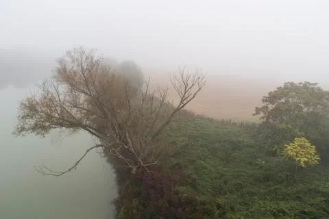 Foggy river Stock Photos