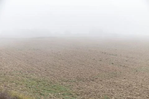 Foggy river Stock-Fotos