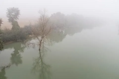 Foggy river Stock Photos