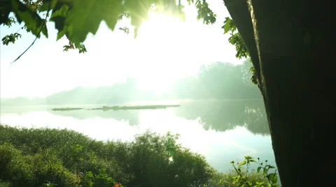 Foggy river seen through tree leaves during sunrise Stock Footage 55144562