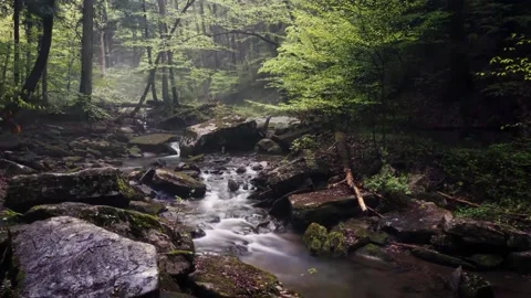 Foggy River Time-Lapse 스톡 동영상 207535548