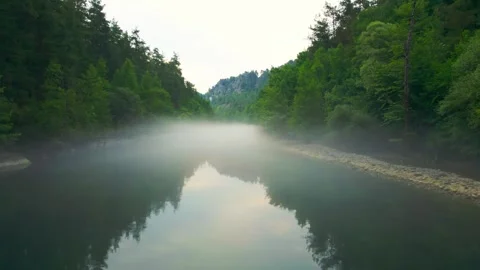 A foggy river with trees on either side Stock Footage 327911859