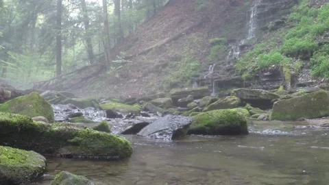 Foggy river with waterfall 스톡 동영상 207532955