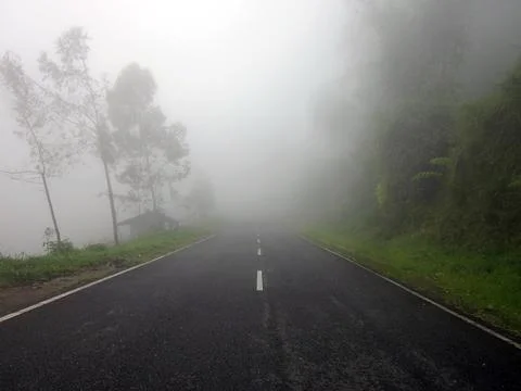 Foggy road 2 Foto stock