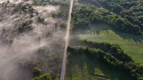 Foggy road, aerial view. Empty highway through forest in mystical fog. Stock Footage 251990526