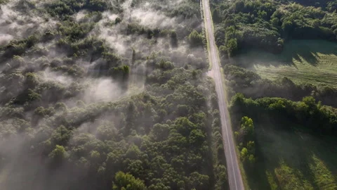 Foggy road, aerial view. Empty highway through forest in mystical fog. Stock-Footage 251991023