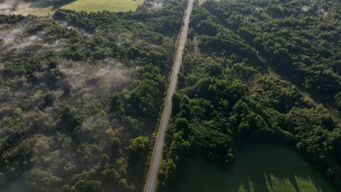 Foggy road, aerial view. Empty highway through forest in mystical fog. Stock Footage 251991230