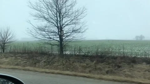 Foggy Road on Drive Stock Footage 169974448