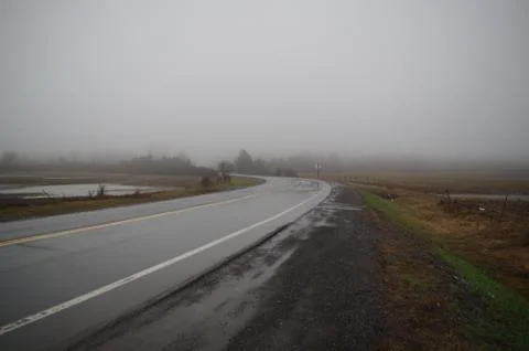 Foggy road Stock Photos