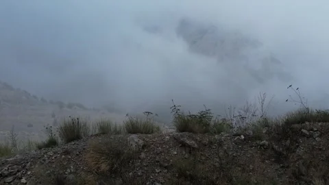 Foggy rocky hillside with sparse vegetation under thick mist for nature Stock Footage 342716952