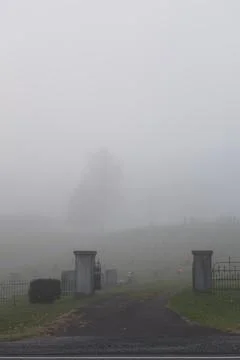 Foggy Rural Mountain Cemetery Iron Fence Entrance with Tree Silhouette Stock Photos