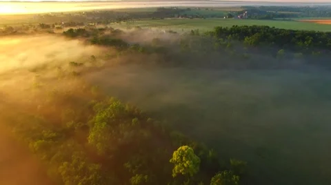 Foggy rural sunrise over farm fields and treetops Stock Footage