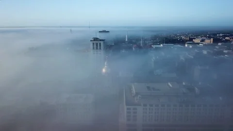 Foggy Savannah 库存影片 86296361