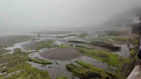 Foggy Seafront at Low Tide with Rocky Shore 库存影片 346751382