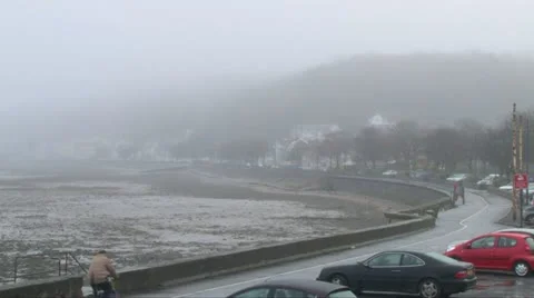 Foggy Shoreline Stock Footage 11156020