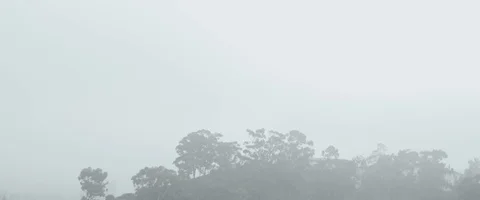 Foggy sky 스톡 동영상 129989664
