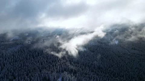 Foggy Snow-Covered Winter Forest Aerial View Видео 345649719