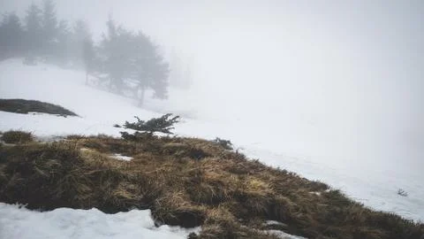 Foggy spring in mountains Stock Photos