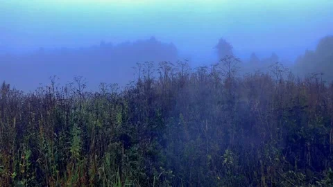 Foggy steppe 動画素材 211322055